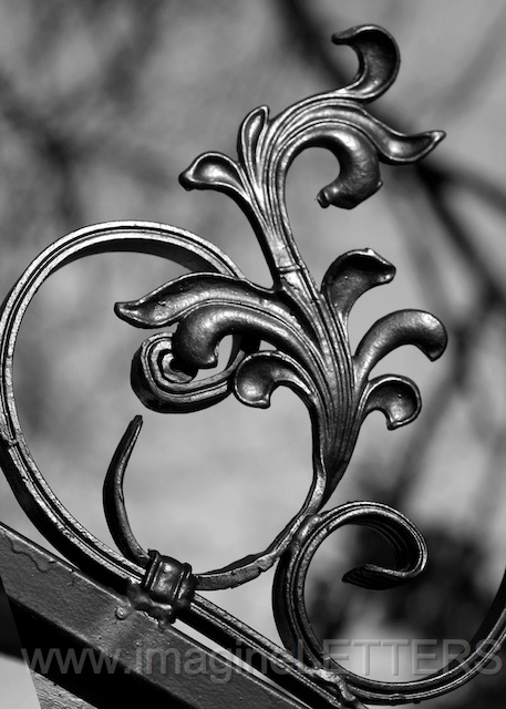Wall_Art_Alphabet_Photography_Art_ 1097.jpg